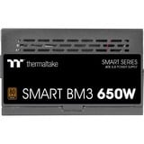 Thermaltake SMART BM3 650W, Fuente de alimentación de PC negro