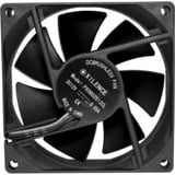 Xilence Performance C Series 80x80x25, Ventilador negro