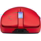 ASUS 90MP0490-BMUA20, Ratones para gaming rojo