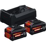 Bosch 1600A0373P, Conjunto negro