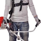 EINHELL GC-BC 25/1 I AS 23 cm 600 W Gasolina Negro, Gris, Rojo, Cortabordes rojo/Negro, Cortabordes, 23 cm, Empuñadura en U, 2 mm, 4 m, 6600 RPM