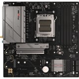 SAPPHIRE 52123-04-40G, Placa base 