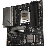 SAPPHIRE 52123-04-40G, Placa base 