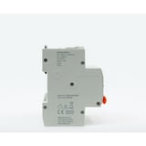 Shelly Pro 4CB C32, Copia de seguridad gris