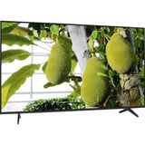 55Q6C Mini-LED, TV QLED