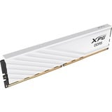 ADATA Lancer Blade módulo de memoria 64 GB 2 x 32 GB DDR5 5600 MT/s 288-pin DIMM ECC, Memoria RAM blanco, 64 GB, 2 x 32 GB, DDR5, 288-pin DIMM, Blanco