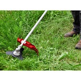 EINHELL GH-BC 43 AS 25,5 cm 1250 W CA eléctrica Negro, Rojo, Cortabordes rojo, 25,5 cm, 2,4 mm, 4 m, 6000 RPM, Negro, Rojo, CA eléctrica