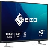 EIZO FlexScan EV4340X-BK pantalla para PC 108 cm (42.5") 3840 x 2160 Pixeles 4K Ultra HD LED Negro, Monitor LED negro, 108 cm (42.5"), 3840 x 2160 Pixeles, 4K Ultra HD, LED, 5 ms, Negro