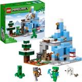 LEGO 21243, Juegos de construcción