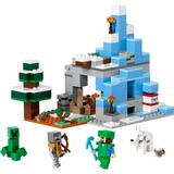 LEGO 21243, Juegos de construcción 