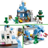 LEGO 21243, Juegos de construcción 