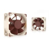 Noctua NF-A6x25 5V, Ventilador beige/Marrón