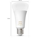 Philips Hue Bombilla inteligente A67 - E27 - 1600, Lámpara LED Philips Hue White ambiance Bombilla inteligente A67 - E27 - 1600, Bombilla inteligente, Blanco, Bluetooth/Zigbee, LED, E27, Luz fría, Blanco cálido