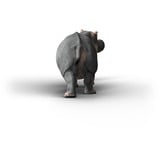 Schleich Vida Salvaje Hipopótamo, Muñecos 