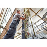 BESSEY Original Ganzstahl-Schraubzwinge GZ60-12KG, Gato plateado/Rojo