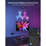 Govee H6065301, Luz de LED 