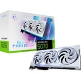 MSI V532-019R, Tarjeta gráfica 