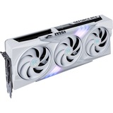 MSI V532-019R, Tarjeta gráfica 