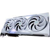 MSI V532-019R, Tarjeta gráfica 