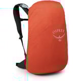 Osprey Hikelite LT 30, Mochila plateado
