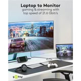 goobay Cable adaptador USB, conector USB-C > conector DisplayPort, 4K 60Hz negro/Plateado