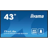 iiyama LH4360UHS-B2AG pantalla de señalización Pizarra de caballete digital 108 cm (42.5") LED Wifi 500 cd / m² 4K Ultra HD Negro Procesador incorporado Android 11 24/7, Pantalla de gran formato negro (mate), Pizarra de caballete digital, 108 cm (42.5"), LED, 3840 x 2160 Pixeles, Wifi, 24/7