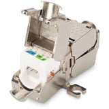 Digitus Acoplador profesional Cat.6a para aplicaciones de campo, 500 MHz, 10GBase-T, Embrague 