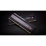 G.Skill F5-6400J3239F24GX2-TZ5RK, Memoria RAM negro