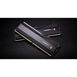 G.Skill F5-8000J3848H16GX2-TZ5RK, Memoria RAM negro