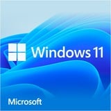Microsoft Windows 11 OEM, Software 
