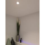 Shelly LightSolutions Hilux DS8 Foco empotrable, Luz de LED blanco