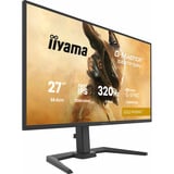 iiyama GB2791QSU-B1, Monitor de gaming negro (mate)