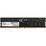 ADATA Premier módulo de memoria 16 GB 1 x 16 GB DDR5 288-pin DIMM, Memoria RAM 16 GB, 1 x 16 GB, DDR5, 5600 MHz, 288-pin DIMM