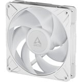 ARCTIC P14 Pro A-RGB Carcasa del ordenador Ventilador 14 cm Blanco 1 pieza(s) blanco, Ventilador, 14 cm, 400 RPM, 2500 RPM, 186 m³/h, Blanco