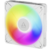 ARCTIC P14 Pro A-RGB Carcasa del ordenador Ventilador 14 cm Blanco 1 pieza(s) blanco, Ventilador, 14 cm, 400 RPM, 2500 RPM, 186 m³/h, Blanco