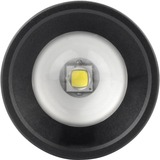 Ansmann M250F Negro Linterna de mano negro, Linterna de mano, Negro, Botones, Giratorio, 1 m, IP54, 1 lámpara(s)