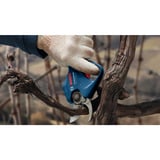 Bosch GGP 12V-25, 06008D8101, Tijeras de podar azul/Negro