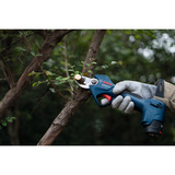 Bosch GGP 12V-25, 06008D8101, Tijeras de podar azul/Negro