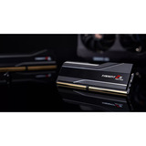 G.Skill F5-6000J3444F64GX2-TZ5NR, Memoria RAM negro