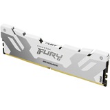 Kingston FURY KF568C36RWK2-32, Memoria RAM blanco