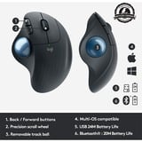 Logitech Ergo M575 ratón mano derecha RF Wireless + Bluetooth Trackball 2000 DPI grafito, mano derecha, Trackball, RF Wireless + Bluetooth, 2000 DPI, Grafito