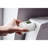 Rademacher 35003074, Termostato de la calefacción blanco