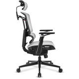 Sharkoon Silla de oficina OfficePal C50M gris