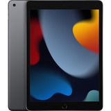 Apple iPad 256 GB 25,9 cm (10.2") Wi-Fi 5 (802.11ac) iPadOS 15 Gris, Tablet PC gris, 25,9 cm (10.2"), 2160 x 1620 Pixeles, 256 GB, iPadOS 15, 487 g, Gris