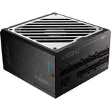 FSP FSP MEGA GM 1000W, Fuente de alimentación de PC negro/blanco