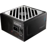 FSP FSP MEGA GM 1000W, Fuente de alimentación de PC negro/blanco