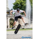 Schildkröt Skateboard 