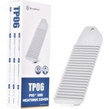 SilverStone TP06, Cuerpo de refrigeración plateado