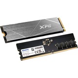 ADATA XPG Gammix S50 Lite 2 TB + Premier DIMM 16 GB DDR5-4800, Kit de actualización de PC 