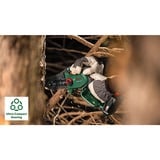 Bosch Motosierra a batería EasyChain 18V-15-7, 18Volt verde/Negro
